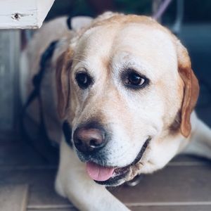 Meet your Posher, Eileen